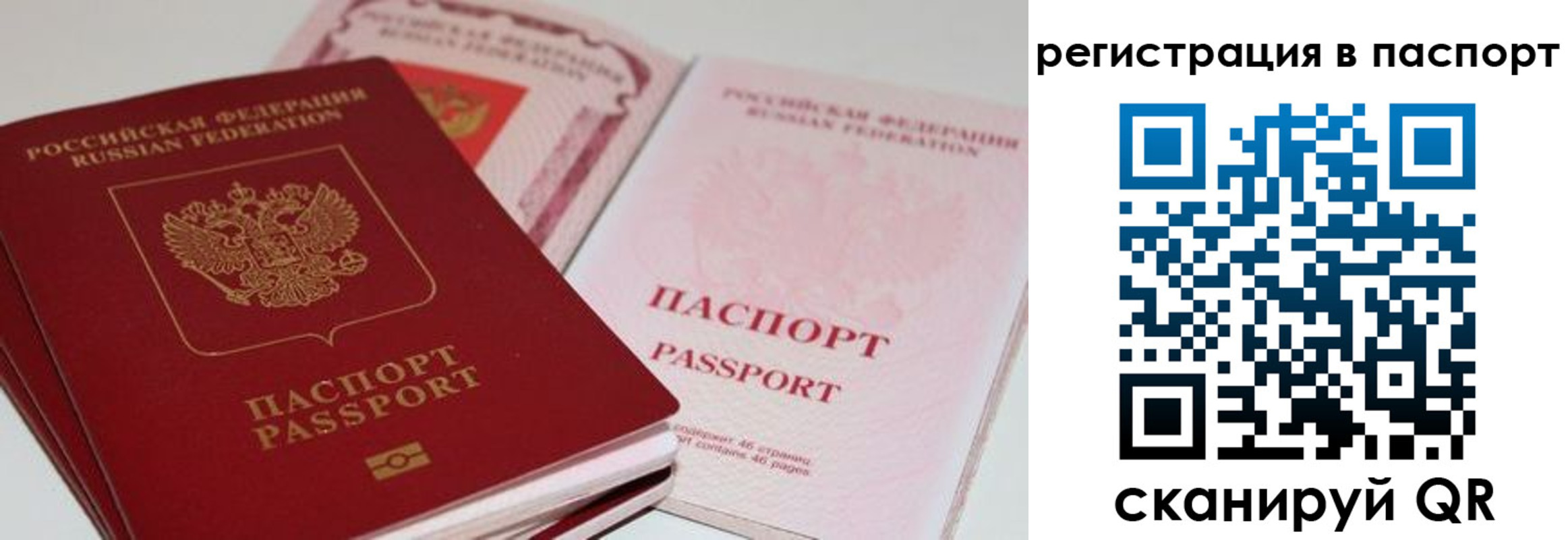 найти адрес прописки в Чечне